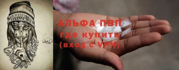 тгк Новодвинск