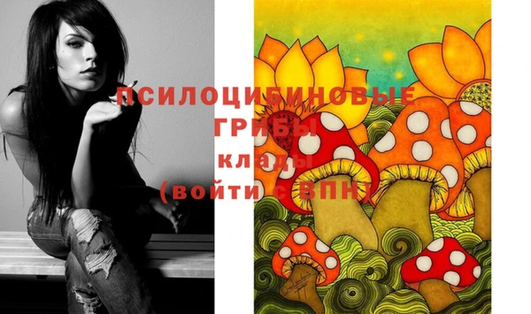 кокаин Новозыбков