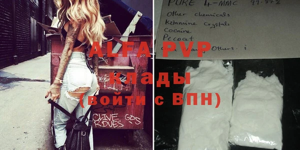 тгк Новодвинск