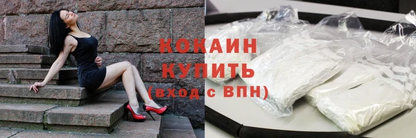 тгк Новодвинск