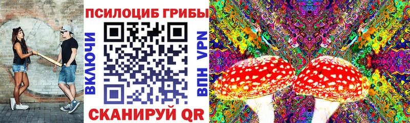 Псилоцибиновые грибы Psilocybe  Изобильный 