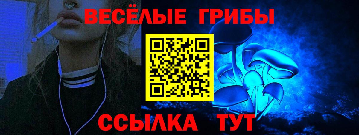 Псилоцибиновые грибы GOLDEN TEACHER  даркнет сайт  Галлюциногенные грибы Psilocybe  Изобильный 